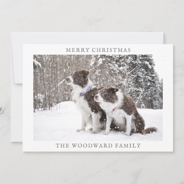 Cartes Pour Fêtes Annuelles Photo de chien Neige Noël Vacances (Devant)
