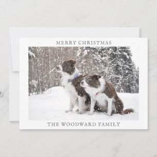 Cartes Pour Fêtes Annuelles Photo de chien Noël neige