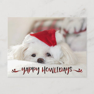 Cartes Pour Fêtes Annuelles Photo de chien Red Buffalo Check Script YAPPY HOWL