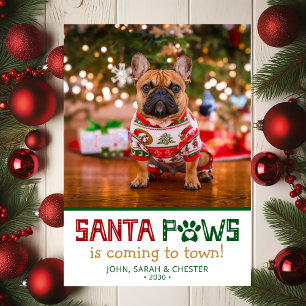 Cartes Pour Fêtes Annuelles Photo de chien Santa Paws
