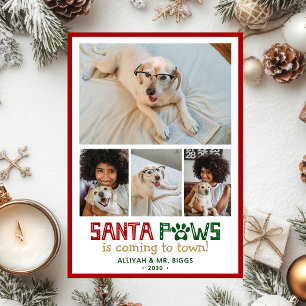 Cartes Pour Fêtes Annuelles Photo de chien Santa Paws