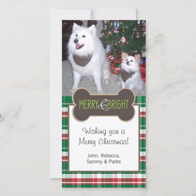 Cartes Pour Fêtes Annuelles Photo de chien voeux de Noël (Devant)