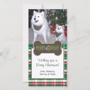 Cartes Pour Fêtes Annuelles Photo de chien voeux de Noël