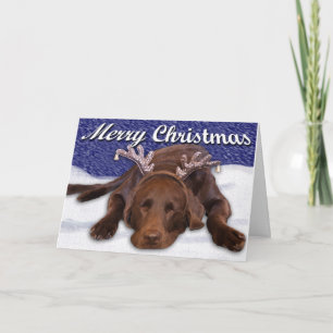 Cartes Pour Fêtes Annuelles Photo de Labrado retriever au chocolat endormi ave