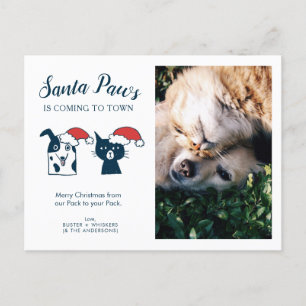 Cartes Pour Fêtes Annuelles Photo de l'animal   Père Noël Paws   Noël de chien