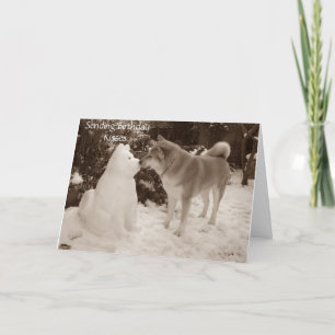 Cartes Pour Fêtes Annuelles photo de mignon akita baiser bonhomme de neige chi