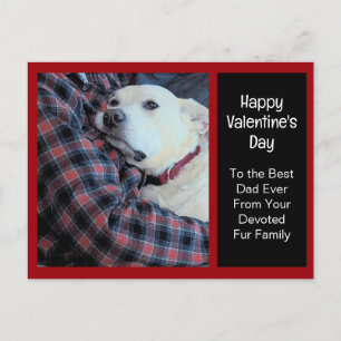 Cartes Pour Fêtes Annuelles Photo de mignon chien accroupissant papa Saint Val
