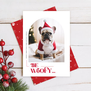 Cartes Pour Fêtes Annuelles Photo de Noël d'arche pour chien drôle moderne