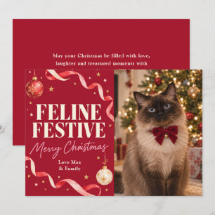 Cartes Pour Fêtes Annuelles Photo de Noël de chat festif félin