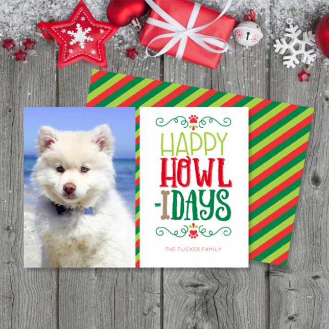 Cartes Pour Fêtes Annuelles Photo de Noël de chien Joyeux Howlidays (Créateur téléchargé)