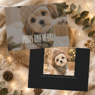 Cartes Pour Fêtes Annuelles Photo de Noël de chiot mignon et poilu et joyeux