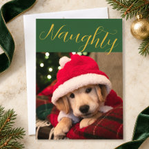 Photo de Noël de l'animal vilain en or vert émerau