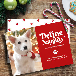 Cartes Pour Fêtes Annuelles Photo de Noël drôle d'animal de compagnie Définir