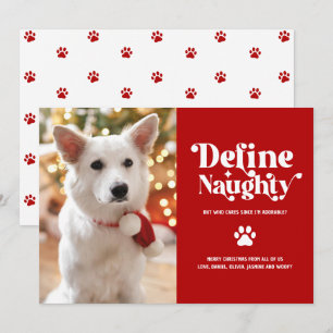 Cartes Pour Fêtes Annuelles Photo de Noël drôle d'animal de compagnie Définir