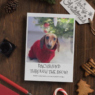 Cartes Pour Fêtes Annuelles Photo de Noël drôle de chien teckel