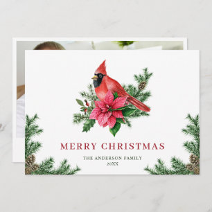 Cartes Pour Fêtes Annuelles PHOTO de Noël du Cardinal Rouge de Poinsettia