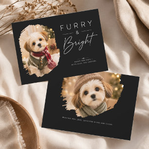 Cartes Pour Fêtes Annuelles Photo de Noël élégant de chiot brillant et poilu