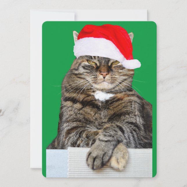 Cartes Pour Fêtes Annuelles Photo de Noël Humbug de chat avec Santa Hat (Devant)