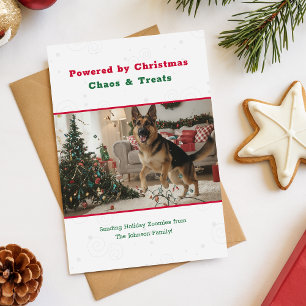 Cartes Pour Fêtes Annuelles Photo de Noël vintage d'un chien drôle et mignon