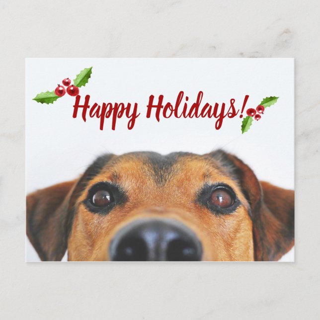 Cartes Pour Fêtes Annuelles Photo de vacances pour animaux (Devant)