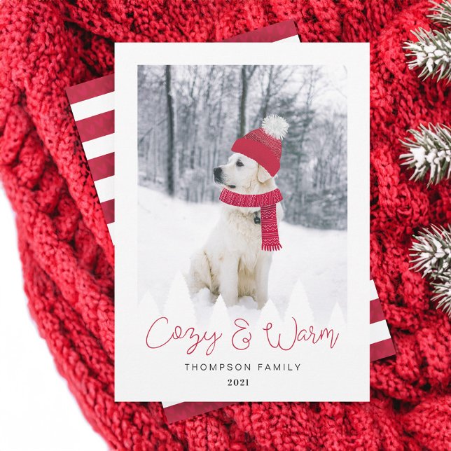 Cartes Pour Fêtes Annuelles Photo d'hiver Casquette & Écharpe pour animaux de  (Cozy & Warm Family & Pet Photo Winter Hat & Scarf Holiday Card)