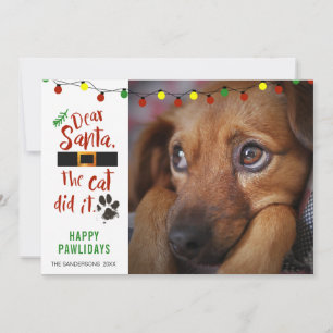 Cartes Pour Fêtes Annuelles Photo drôle de chien vilain PÈRE NOËL, LE CHAT A F
