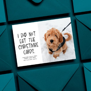 Cartes Pour Fêtes Annuelles Photo drôle de Nouvel An d'un animal mignon noir e