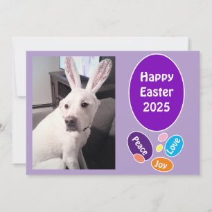 Cartes Pour Fêtes Annuelles Photo du chien mignon portant des oreilles de lapi