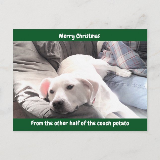 Cartes Pour Fêtes Annuelles Photo d'un chien blanc pâle mignon avec papa vert (Devant)