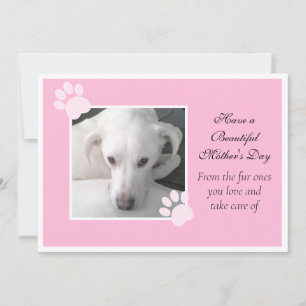 Cartes Pour Fêtes Annuelles Photo d'un chien mignon Cadre de patte de fête des