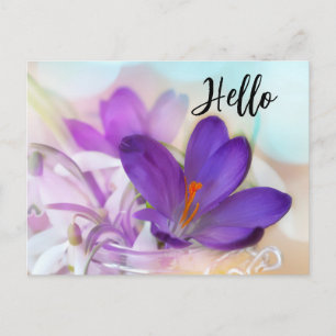 Cartes Pour Fêtes Annuelles Photo d'un joli Crocus de printemps violet Bonjour