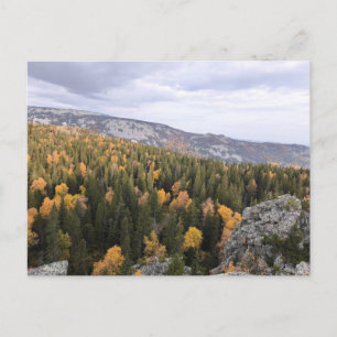 Cartes Pour Fêtes Annuelles photo d'une forêt d'automne montagneuse, montagnes