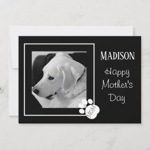 Cartes Pour Fêtes Annuelles Photo en noir et blanc de chien mignon pour la fêt