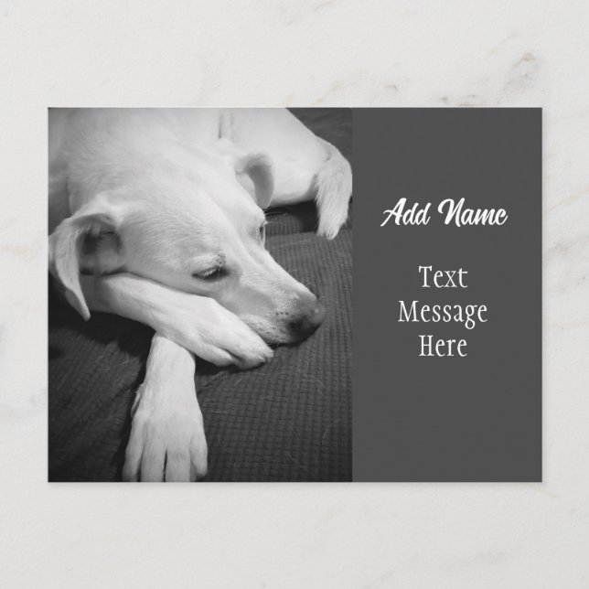 Cartes Pour Fêtes Annuelles Photo en noir et blanc d'un chien dormant simple (Devant)