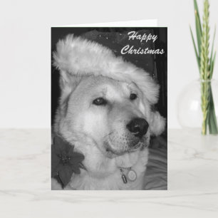 Cartes Pour Fêtes Annuelles photo en noir et blanc d'un chien habillé en père 