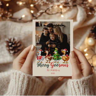 Cartes Pour Fêtes Annuelles Photo Funny Merry Goosmas Noël