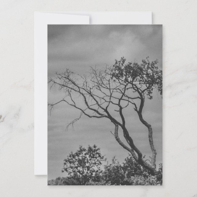 Cartes Pour Fêtes Annuelles photo gothique américaine stylisée réimpression pa (Devant)