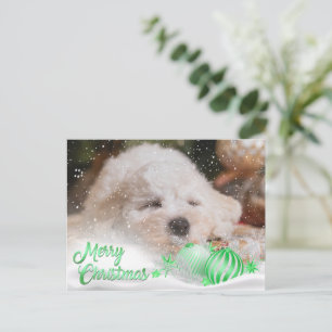 Cartes Pour Fêtes Annuelles Photo Joyeux Noël Neige superposition Budget vert
