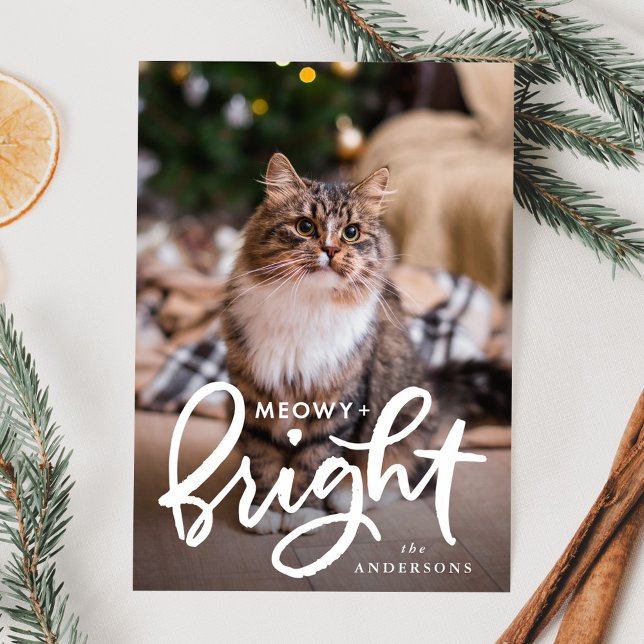 Cartes Pour Fêtes Annuelles Photo Meowy et Bright Cat (Créateur téléchargé)