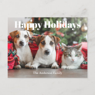 Cartes Pour Fêtes Annuelles Photo Noël