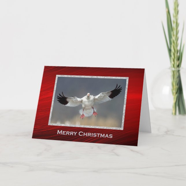 Cartes Pour Fêtes Annuelles Photo Oie des neiges de la faune Noël (Devant)