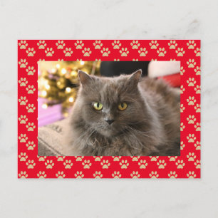 Cartes Pour Fêtes Annuelles Photo personnalisée de chat pour animaux de compag