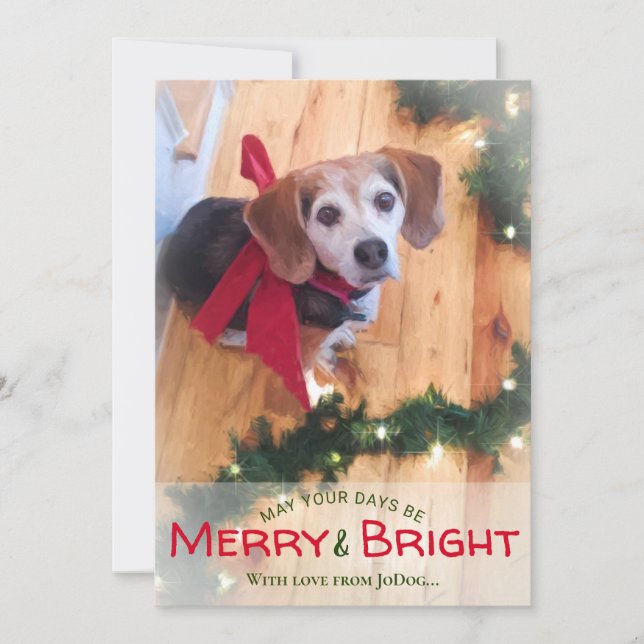Cartes Pour Fêtes Annuelles Photo Pet & Family Joyeux et Bright Christmas (Devant)