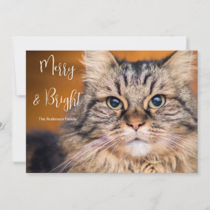Cartes Pour Fêtes Annuelles Photo pour animaux de compagnie Joyeux et lumineux