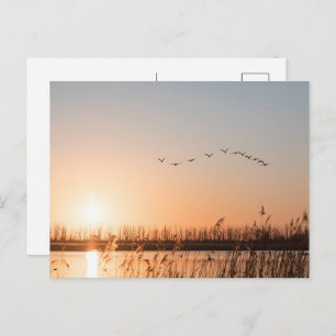 Cartes Pour Fêtes Annuelles Photo Sunrise Nature