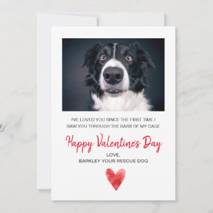 Cartes Pour Fêtes Annuelles Photo Valentine Du Chien