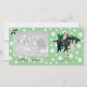 Cartes Pour Fêtes Annuelles Photocartes de Noël du Labrador