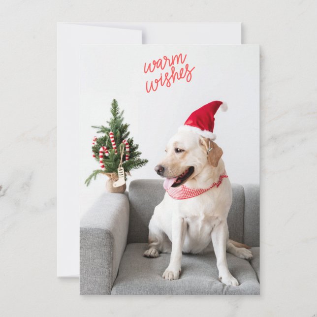 Cartes Pour Fêtes Annuelles Photographier des souhaits chauds avec du texte ar (Devant)