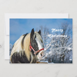 Cartes Pour Fêtes Annuelles Photos de la neige de la peinture de cheval Appart
