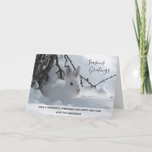 Cartes Pour Fêtes Annuelles Photos de Noël de neige d'hiver de lapin blanc Pho